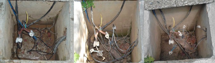 Las 7 diferencias.jpg