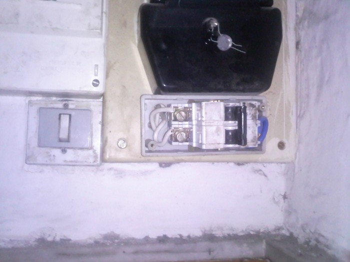 IMG193.jpg