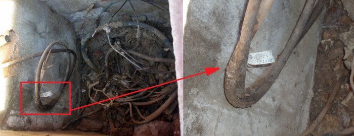 Tonteria de verdad.jpg