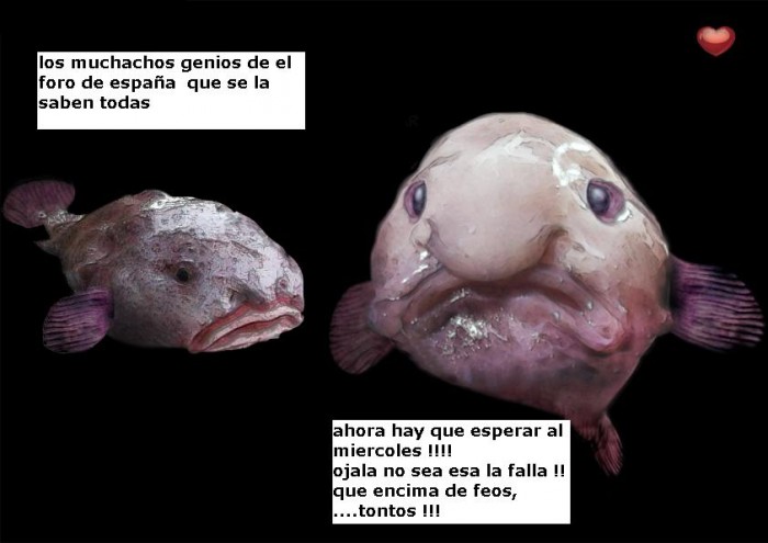 para los pescados.JPG