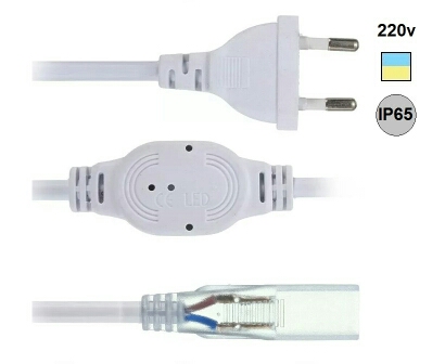 1490518375938_fact_1.jpg